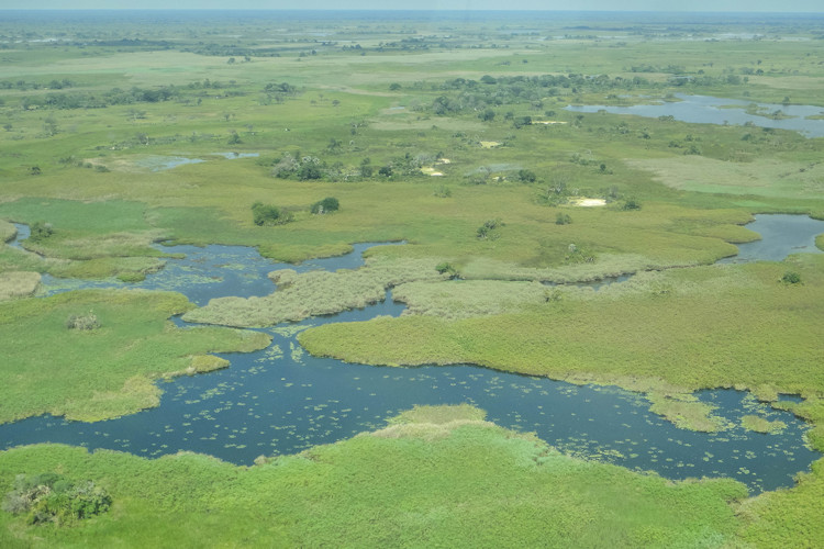 Okavango Delta unique inland delta endorheic system 1000 plant species 130 mammals 500 birds Botswana