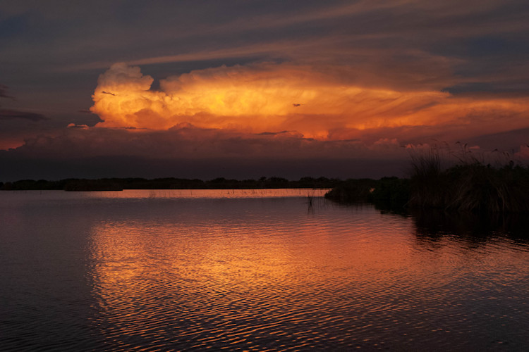 Okavango Delta dry season May September wildlife concentrated water sources game viewing Botswana