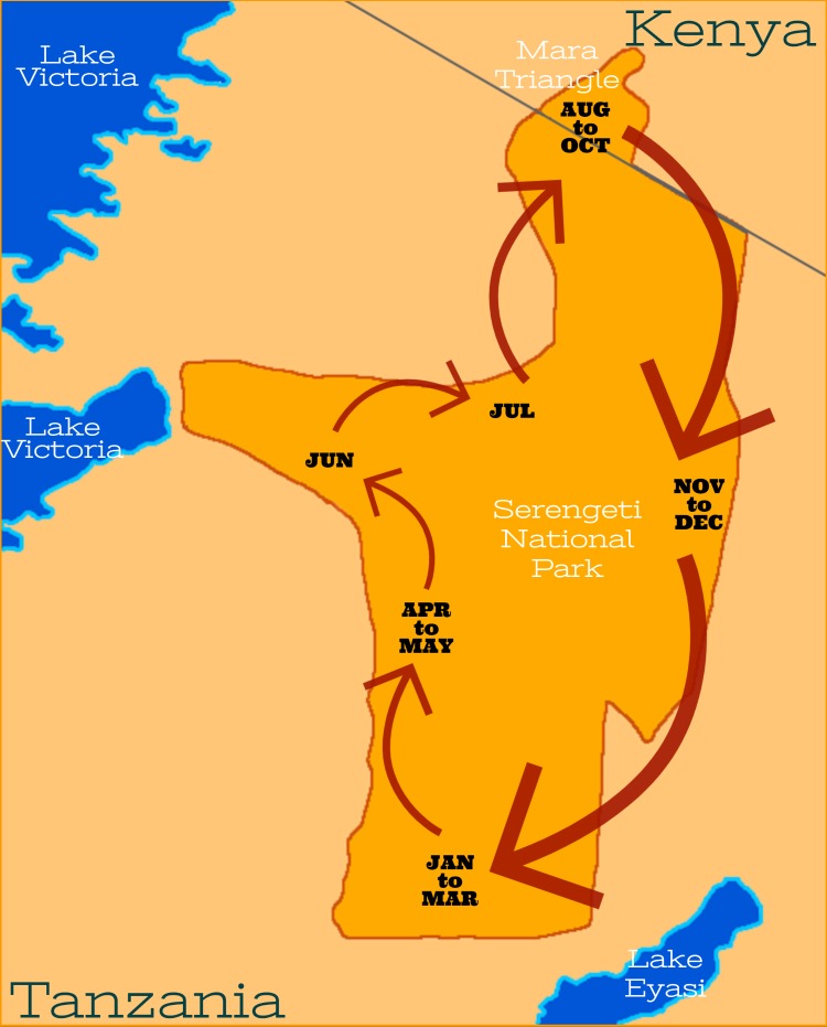 Serengeti Great Migration map wildebeest zebra annual route Tanzania Kenya Masai Mara month by month