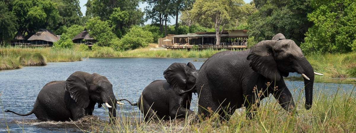 Safari Lodges And Camps In Botswana