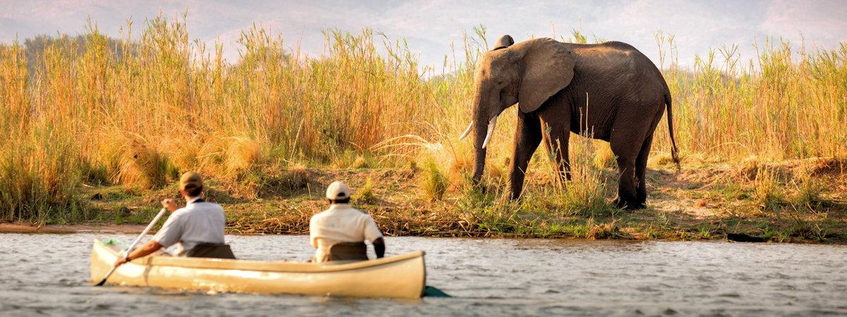 Lower Zambezi National Park safari camps and lodges