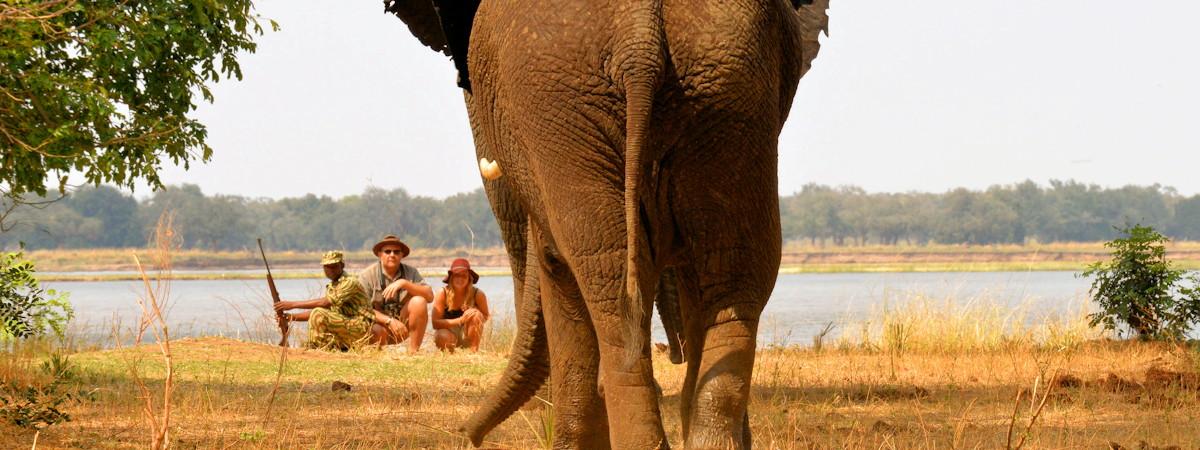 Best Zambia wildlife atttractions and parks
