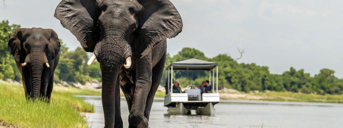 Botswana'a famed Chobe Park and River