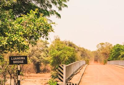 The South Luangwa Experience