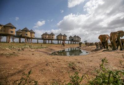 The most unique game lodge in East Africa