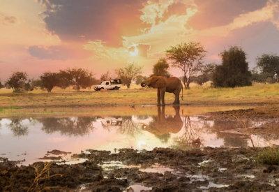 Safaris in the Taita Hills Sanctuary