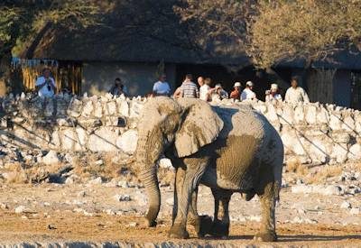 Affordable Namibia Self Drive Safari