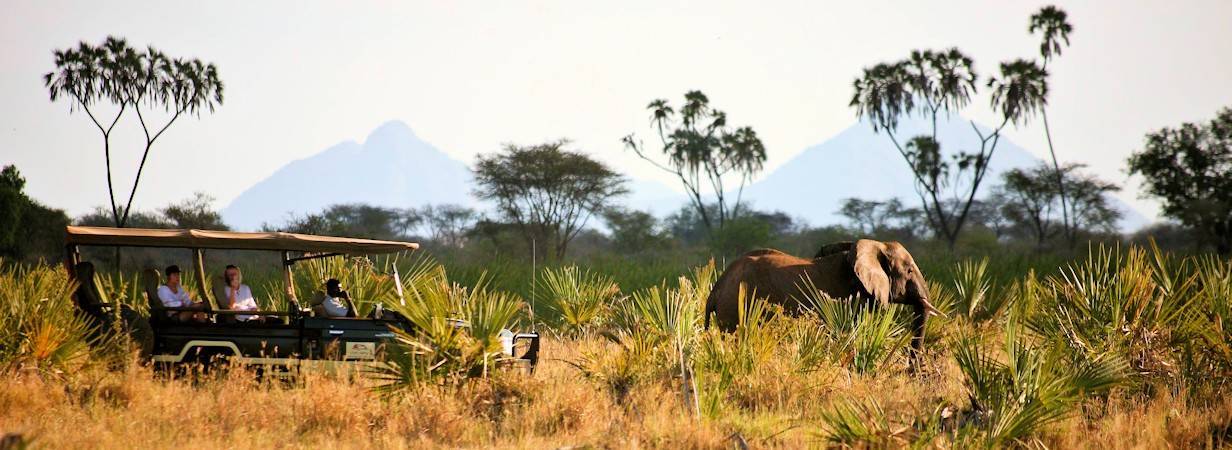 African Safari Planner