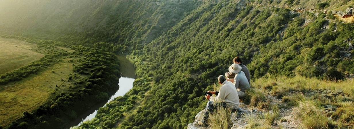 Amakhala Lodges
