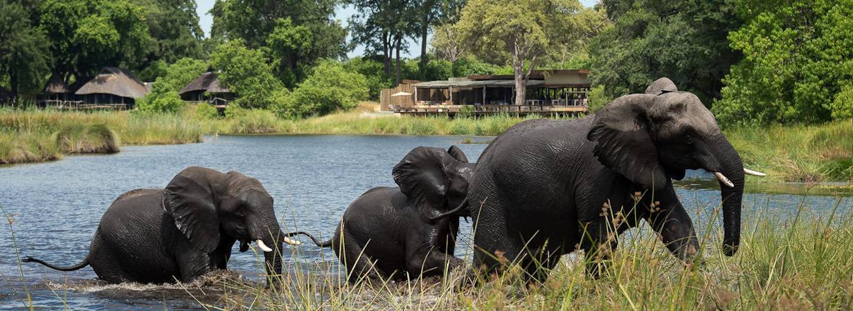 Botswana Lodges