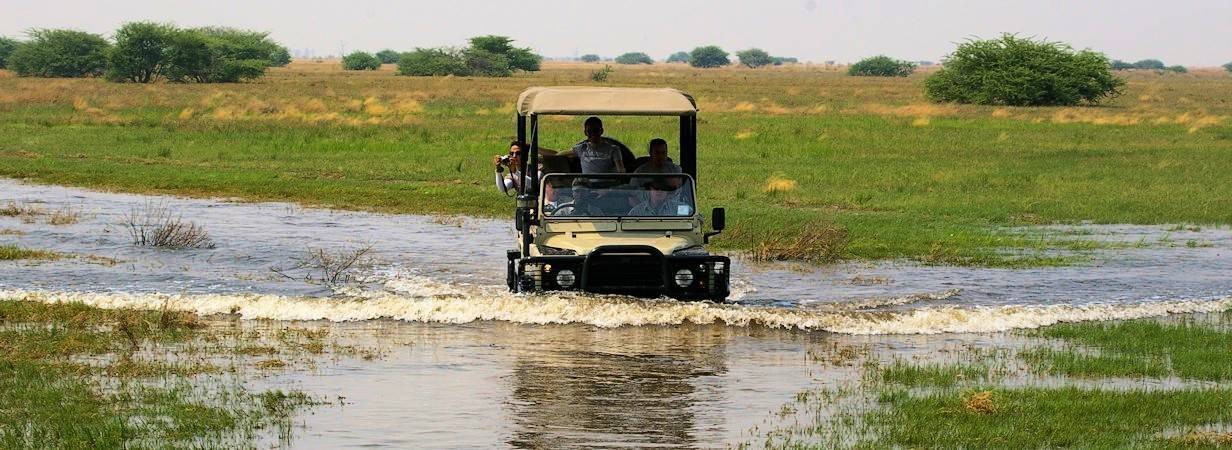 Botswana Safaris