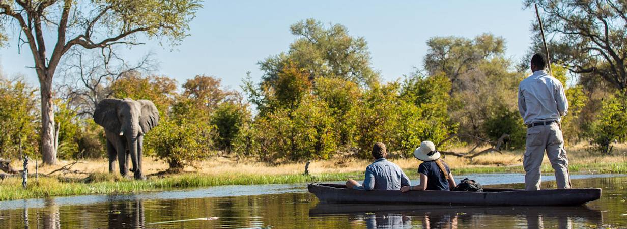 Botswana Safaris