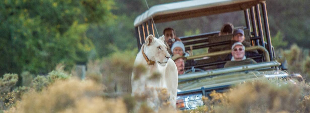 Cape Town Game Reserves