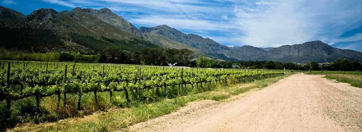 Cape Winelands Hotels