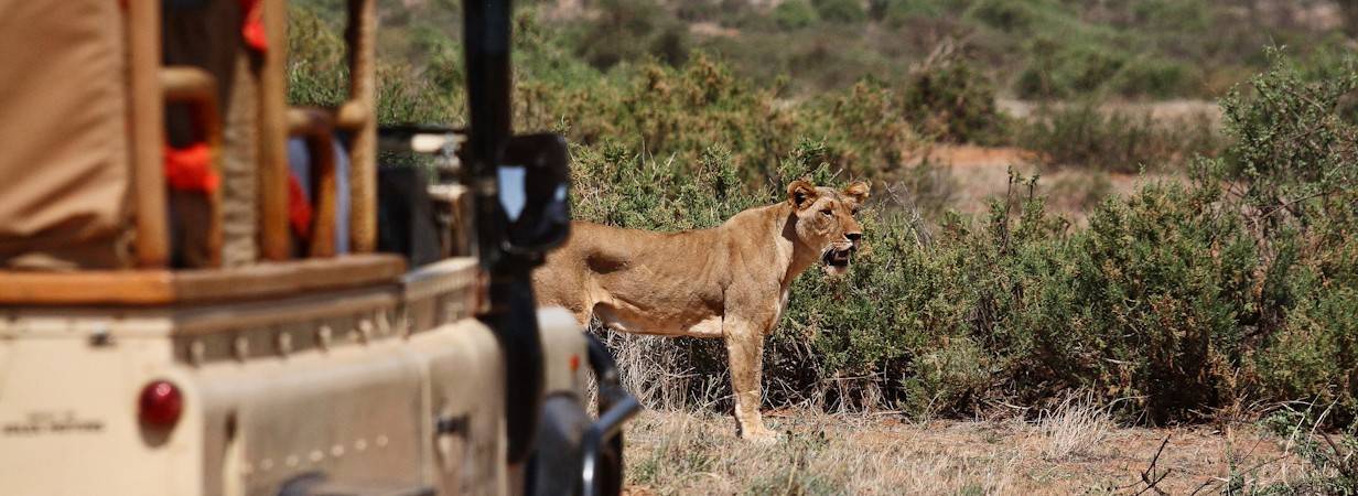 Pre and Post Conference Safaris