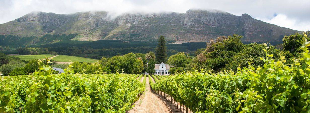 Constantia Hotels