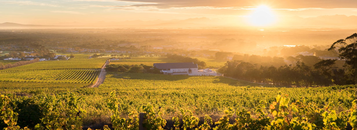 Constantia Hotels