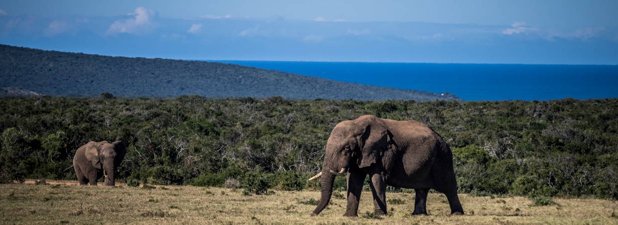 Eastern Cape Travel