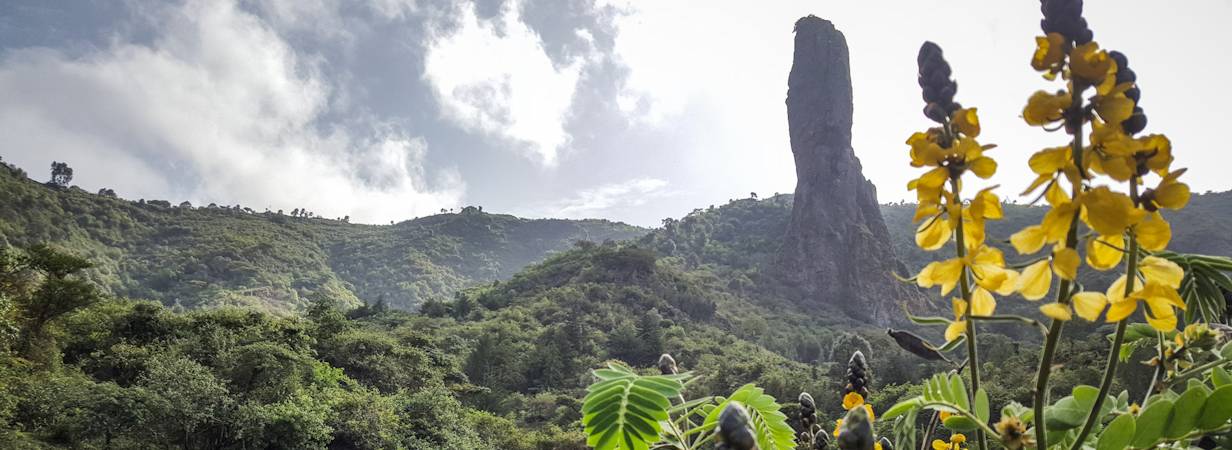 Ethiopia safari planner