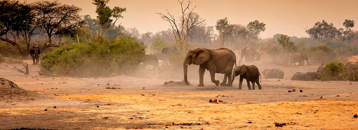 Hwange Lodges
