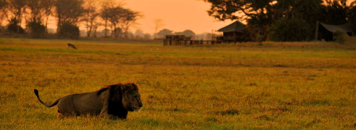 Kafue Lodges