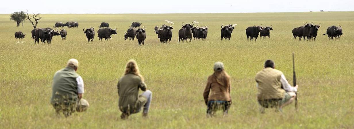 Kenya Adventure Safaris