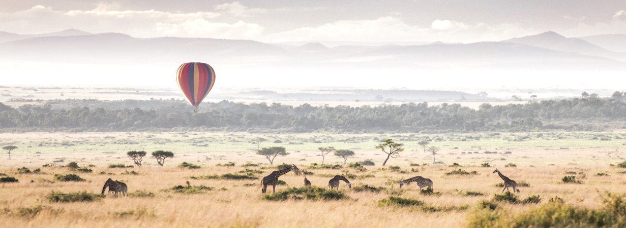 Kenya Showcase