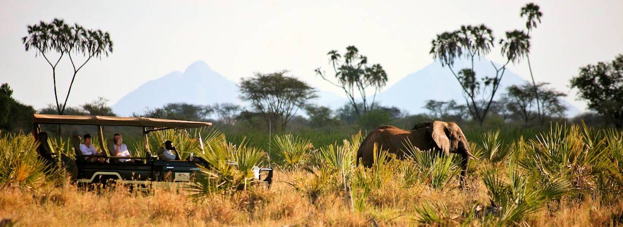 Kenya Travel