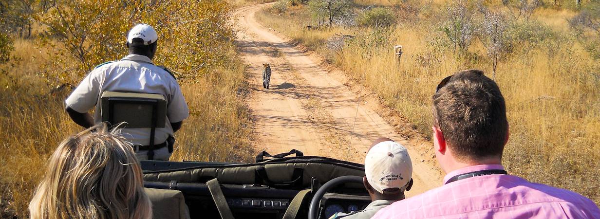 Kruger Budget Safaris