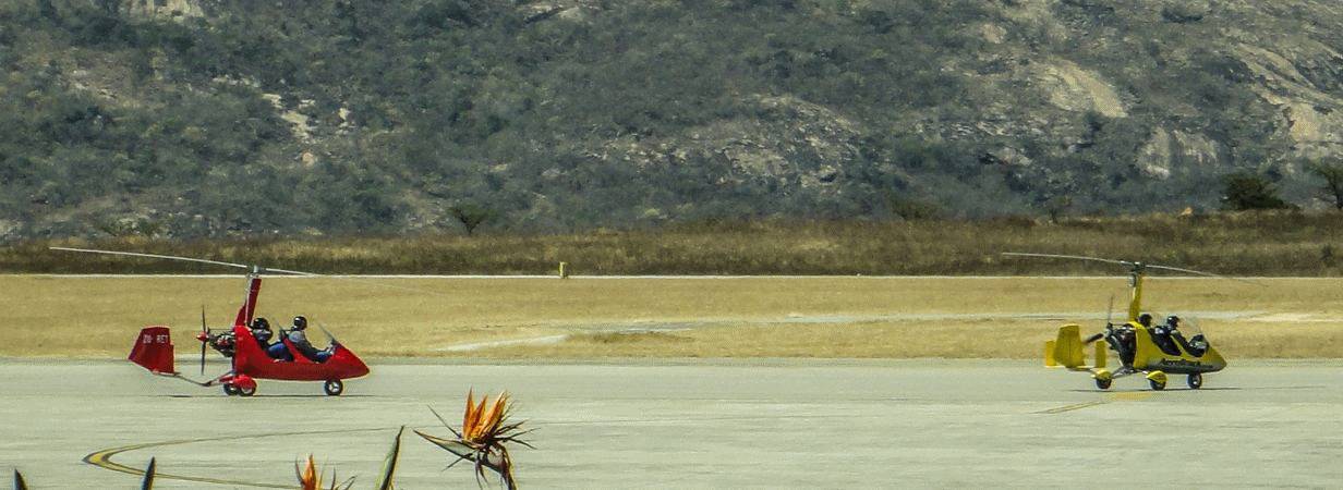 Kruger Day Tours