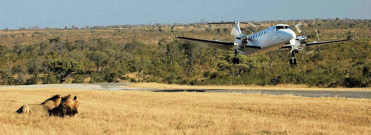 Kruger Fly-In Safaris
