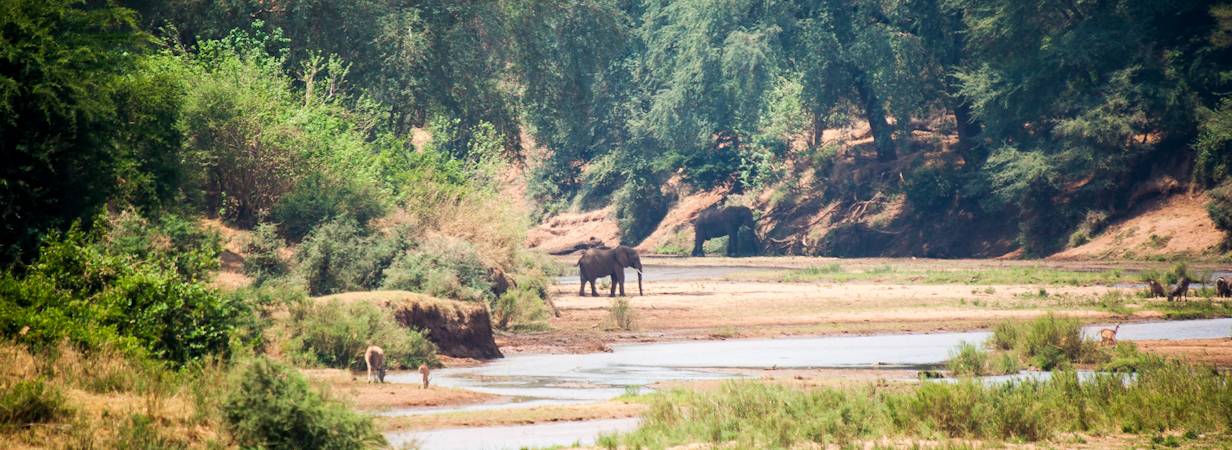 Kruger National Park