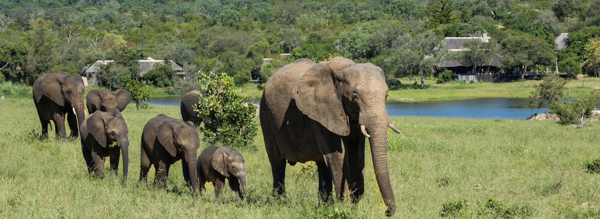 Kruger Park Map