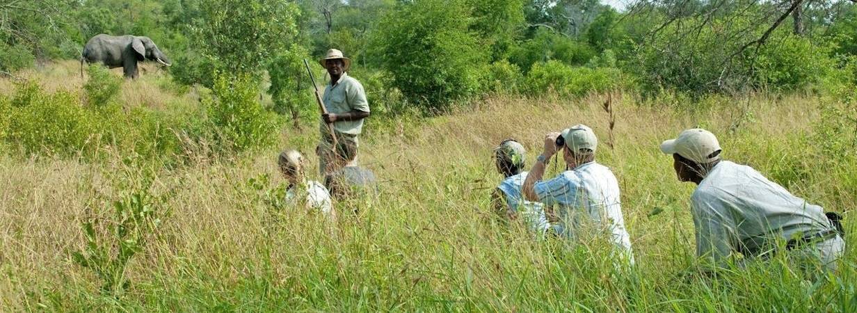 Kruger Park Safaris