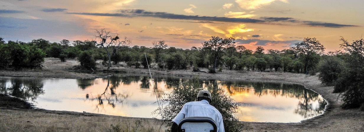 Kruger Self Drive Safaris