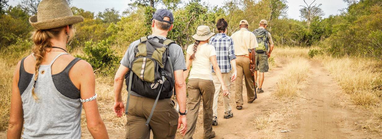 Kruger Walking Safaris