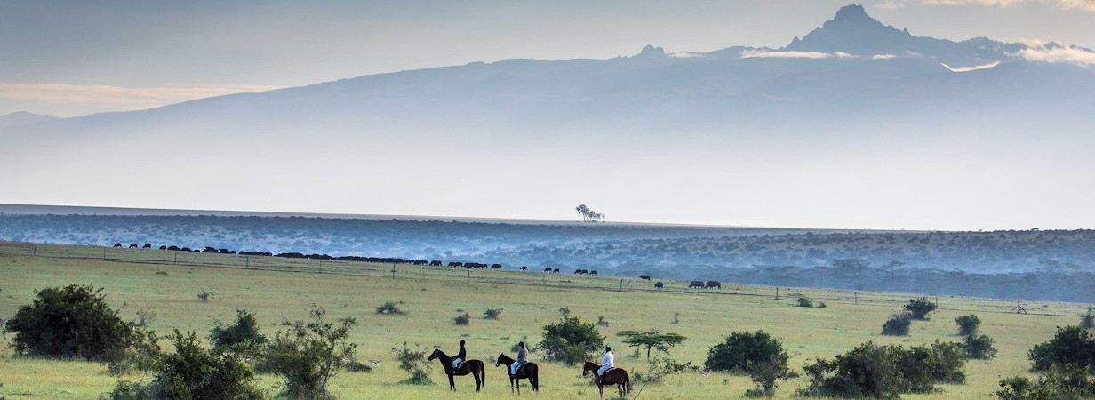 Laikipia Plateau Lodges and Safari Camps
