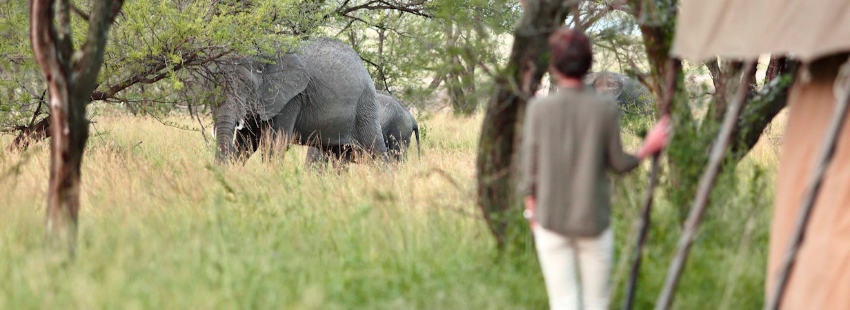 Serengeti Lodges