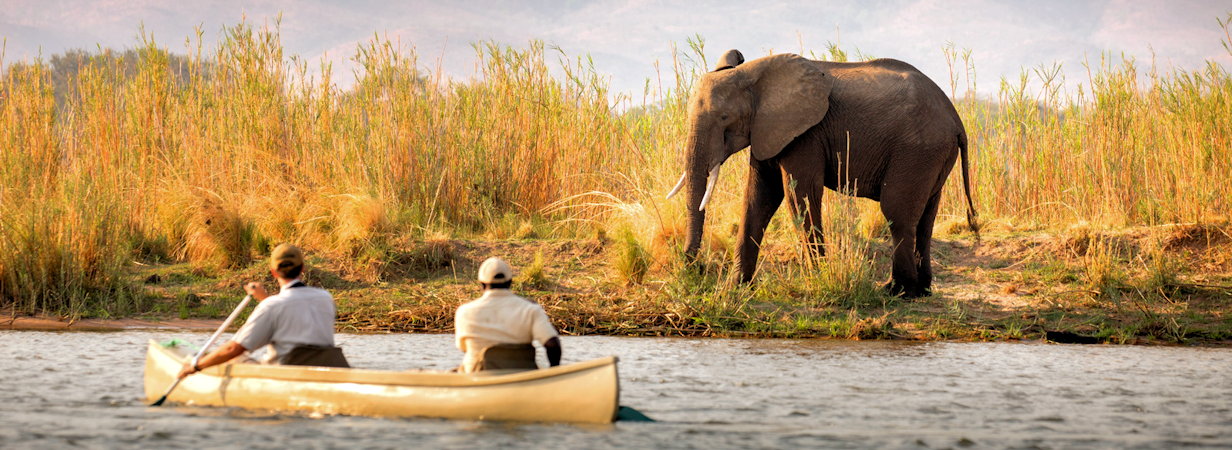 Lower Zambezi Lodges