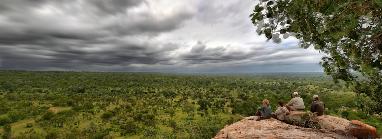 MalaMala Lodges