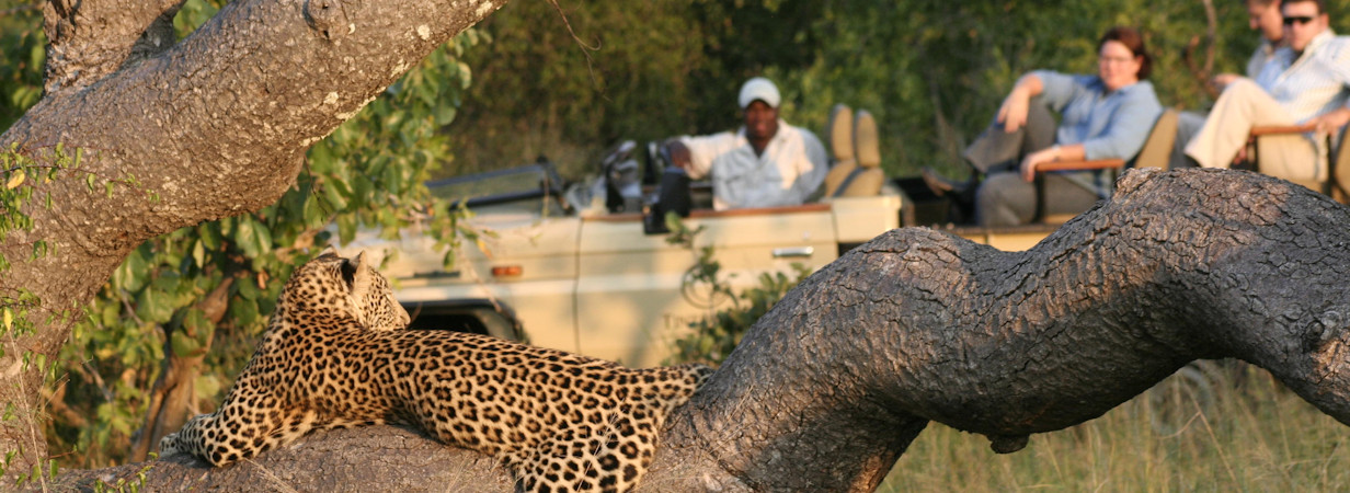 Manyeleti lodges and safari camps