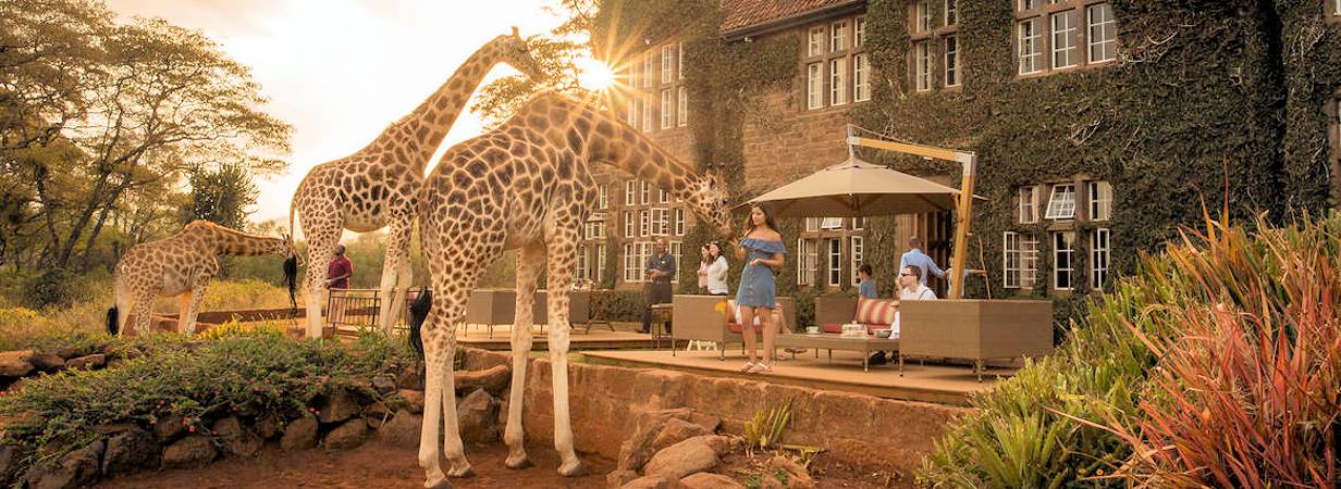 Nairobi Day Tours