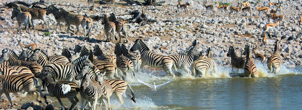 Namibia Safari Planner