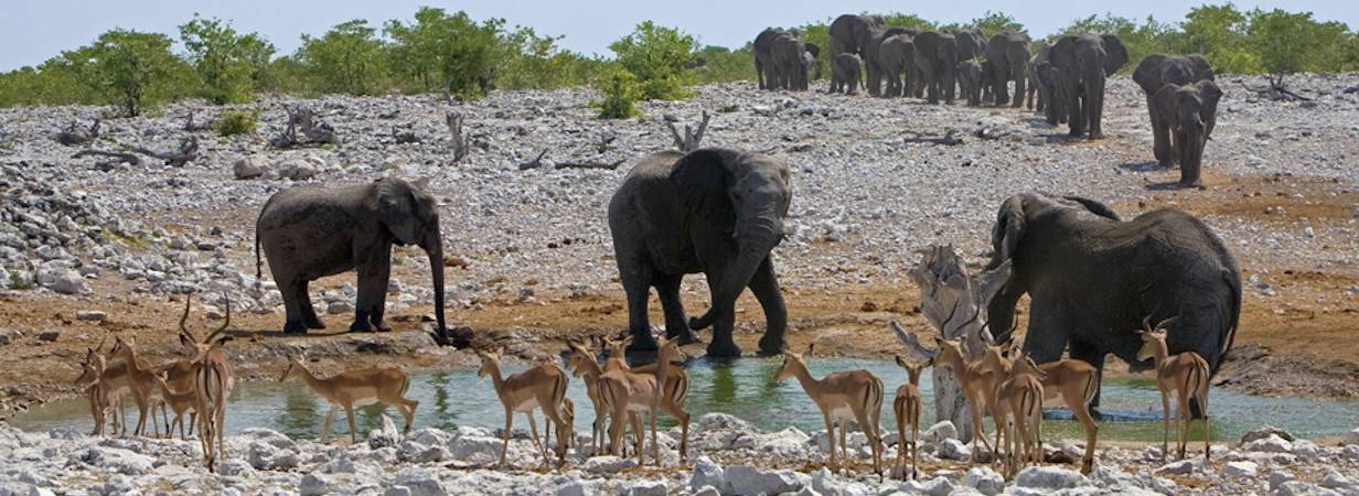 Namibia Travel