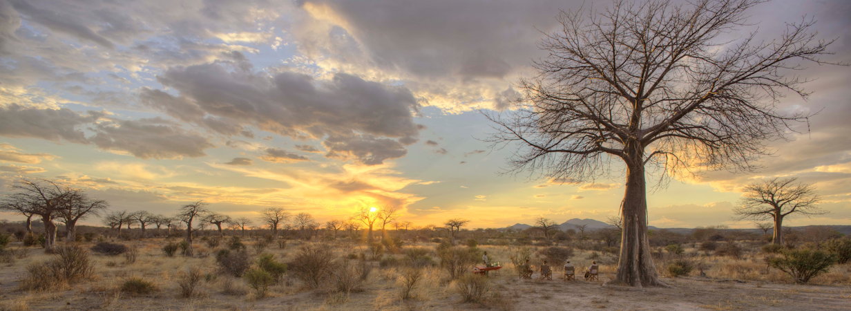 Ruaha Lodges