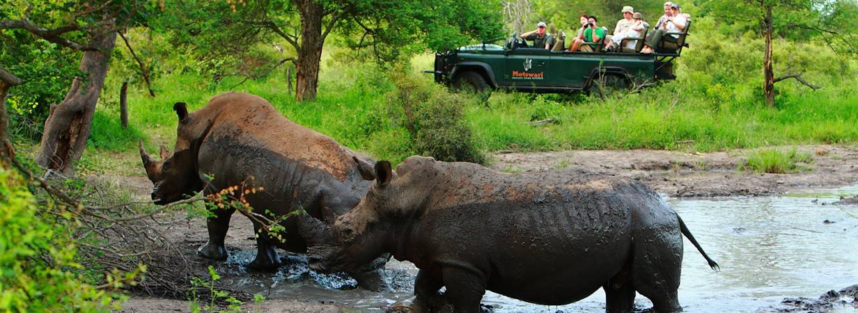 Safaris in Africa