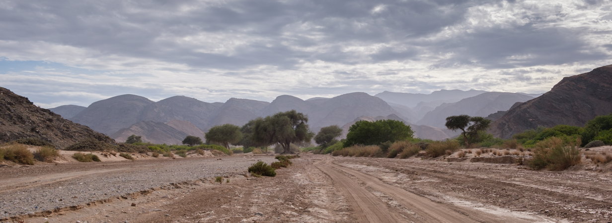 Safaris in Namibia