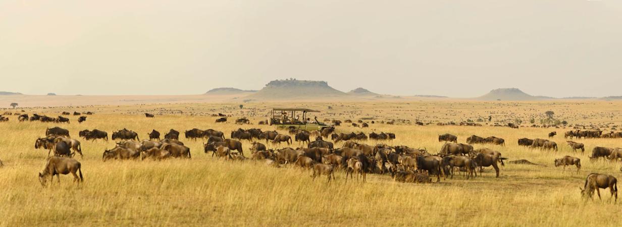 Serengeti Safaris in one of the most amazing places in Africa