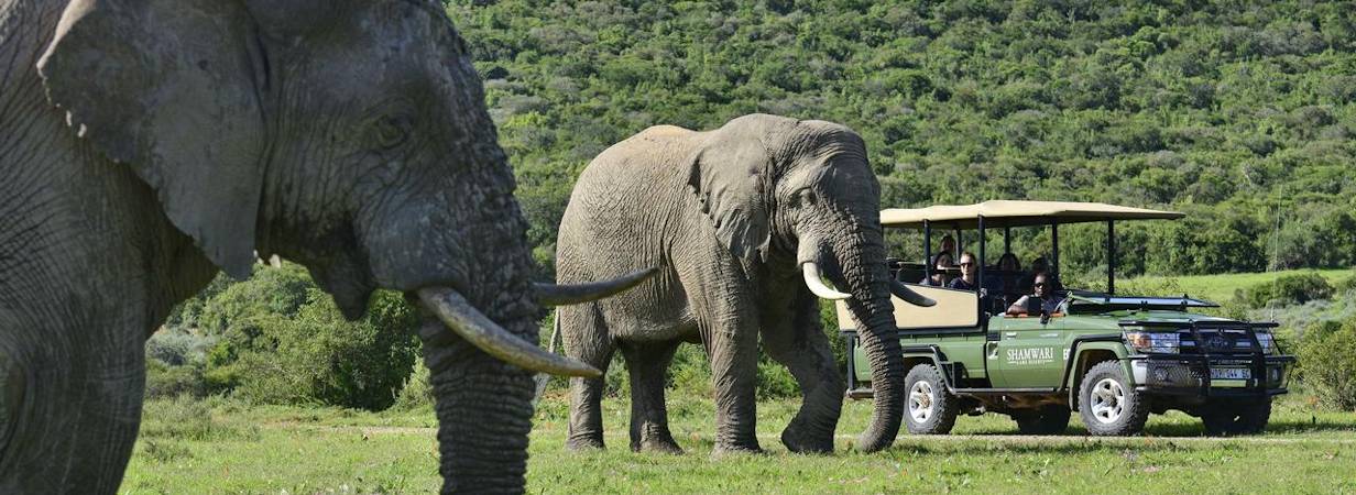 Shamwari lodges