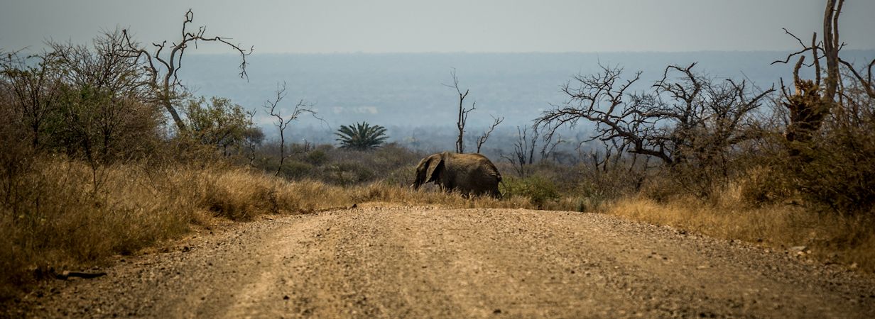 South Africa Game Reserves